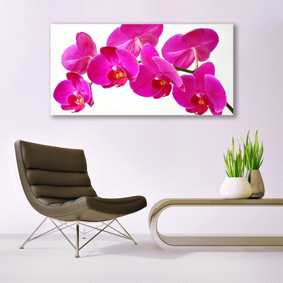 Quadro di vetro Pianta di fiori