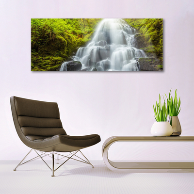 Quadro in vetro Cascata Natura