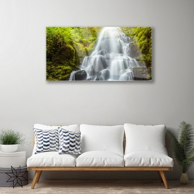 Quadro in vetro Cascata Natura