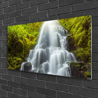 Quadro in vetro Cascata Natura