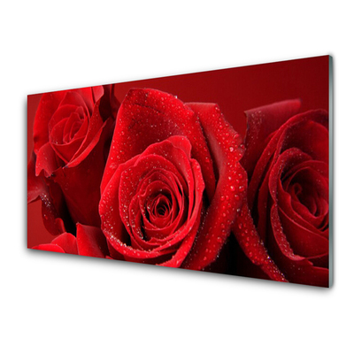 Quadro vetro Fiori di rose