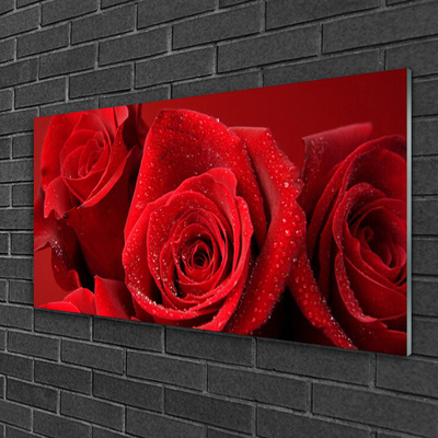 Quadro vetro Fiori di rose