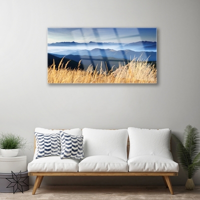 Quadro di vetro Paesaggio di campo