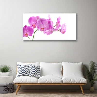 Quadro in vetro Fiori Pianta naturale