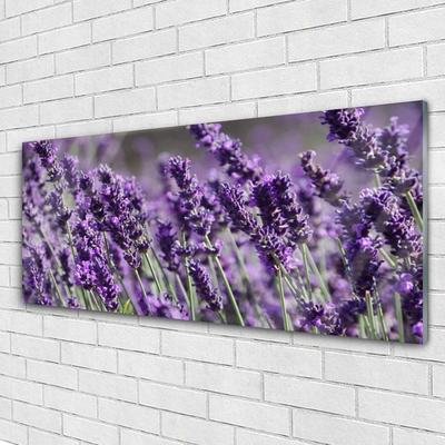 Quadro su vetro Fiori Pianta naturale