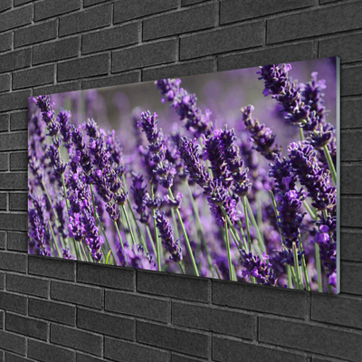 Quadro su vetro Fiori Pianta naturale