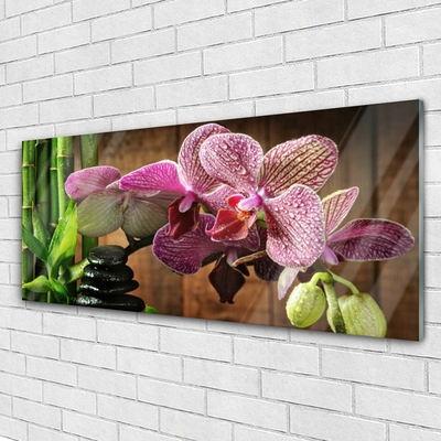 Quadro di vetro Fiori Pianta di bambù