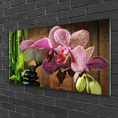 Quadro di vetro Fiori Pianta di bambù