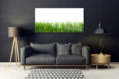 Quadro vetro Erba Natura Pianta