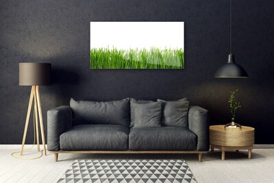 Quadro vetro Erba Natura Pianta