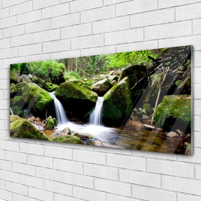 Quadro di vetro Cascata Rocce Natura