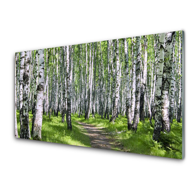 Quadro su vetro Sentiero forestale Natura Alberi