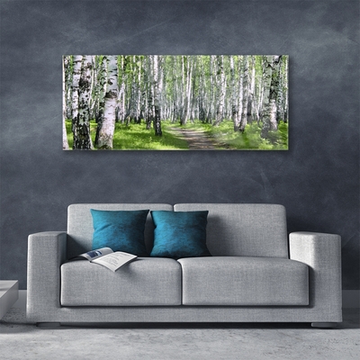 Quadro su vetro Sentiero forestale Natura Alberi