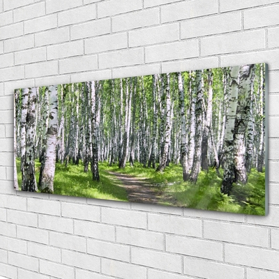 Quadro su vetro Sentiero forestale Natura Alberi