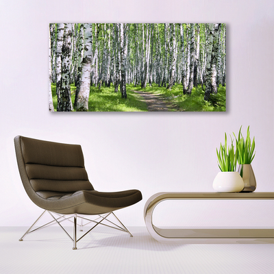 Quadro su vetro Sentiero forestale Natura Alberi