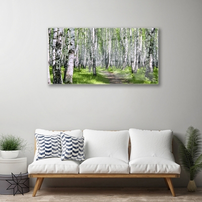 Quadro su vetro Sentiero forestale Natura Alberi