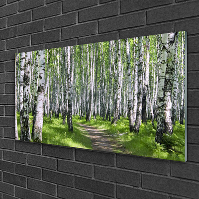 Quadro su vetro Sentiero forestale Natura Alberi