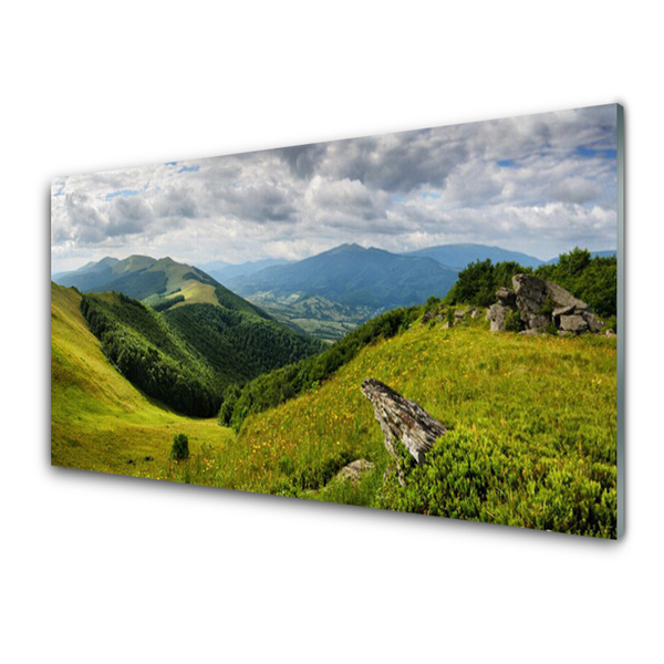 Quadro su vetro Paesaggio dei prati di montagna