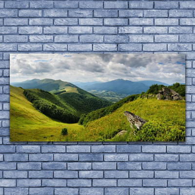 Quadro su vetro Paesaggio dei prati di montagna