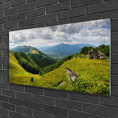 Quadro su vetro Paesaggio dei prati di montagna