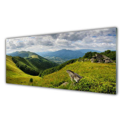 Quadro su vetro Paesaggio dei prati di montagna