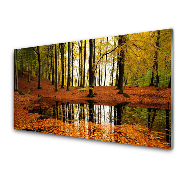 Quadro su vetro Foresta Natura Alberi