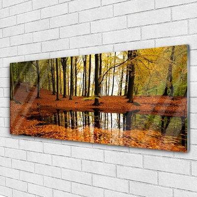 Quadro su vetro Foresta Natura Alberi