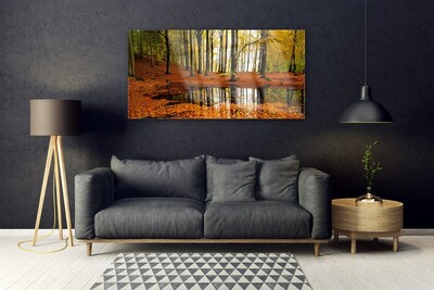 Quadro su vetro Foresta Natura Alberi