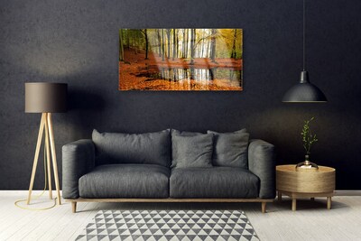 Quadro su vetro Foresta Natura Alberi