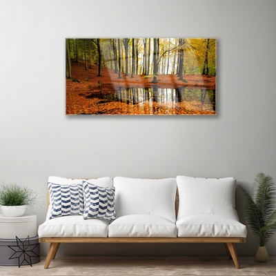 Quadro su vetro Foresta Natura Alberi