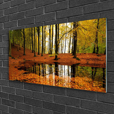 Quadro su vetro Foresta Natura Alberi