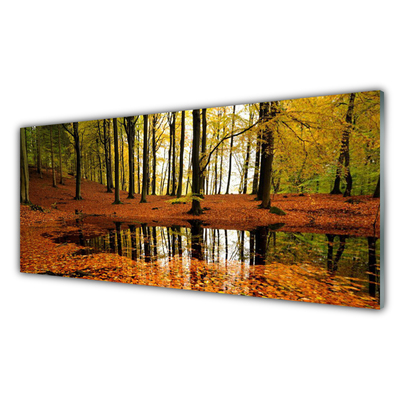 Quadro su vetro Foresta Natura Alberi