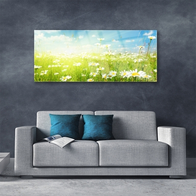 Quadro su vetro Daisy Meadow Natura