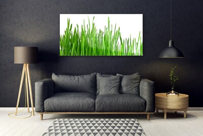 Quadro in vetro Erba Pianta Natura