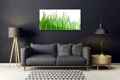 Quadro in vetro Erba Pianta Natura