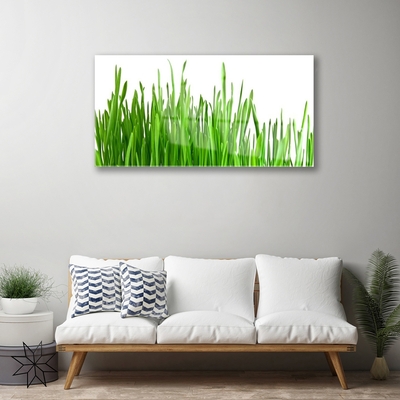 Quadro in vetro Erba Pianta Natura