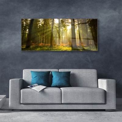 Quadro in vetro Foresta Natura Alberi