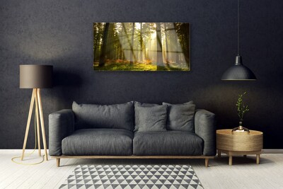 Quadro in vetro Foresta Natura Alberi