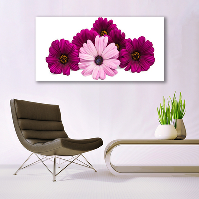 Quadro su vetro Fiori Pianta naturale