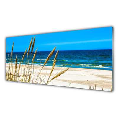 Quadro di vetro Paesaggio di Ocean Beach