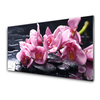 Quadro di vetro Pianta di orchidea da fiore