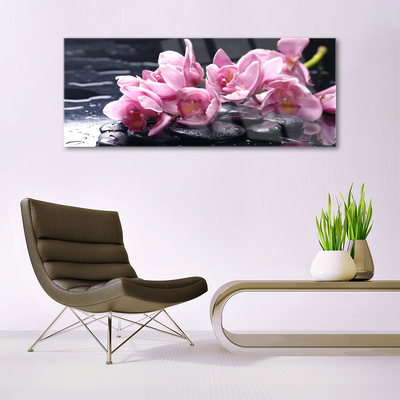 Quadro di vetro Pianta di orchidea da fiore