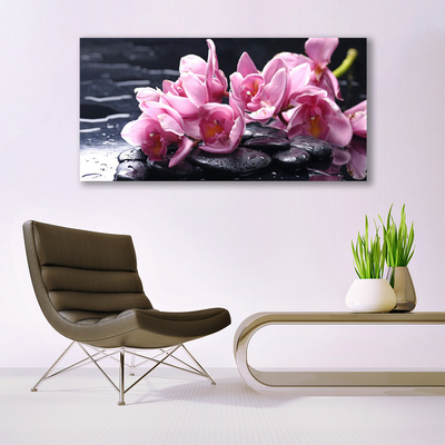 Quadro di vetro Pianta di orchidea da fiore