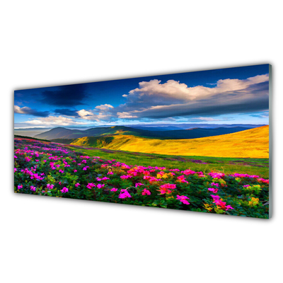 Quadro di vetro Prato Fiori Natura Pianta