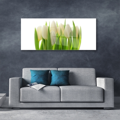 Quadro su vetro Tulipani Pianta Naturale