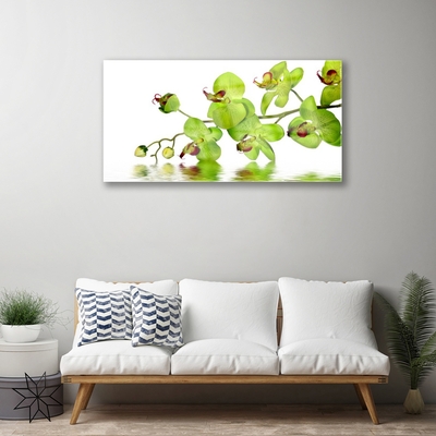 Quadro in vetro Fiori Pianta naturale