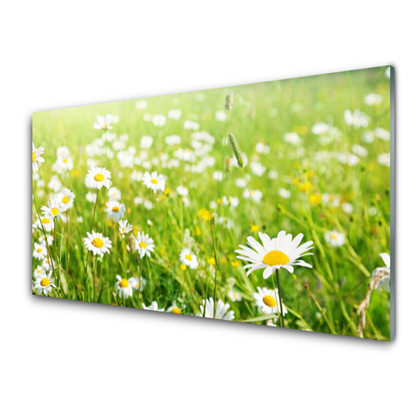 Quadro vetro Daisy Meadow Natura