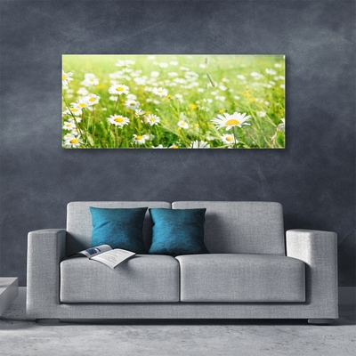 Quadro vetro Daisy Meadow Natura