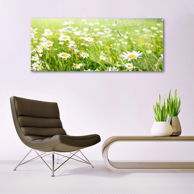 Quadro vetro Daisy Meadow Natura