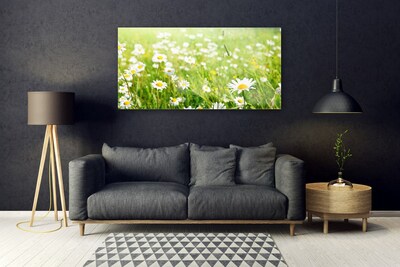 Quadro vetro Daisy Meadow Natura